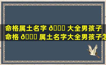 命格属土名字 🐛 大全男孩子（命格 🐝 属土名字大全男孩子怎么取）